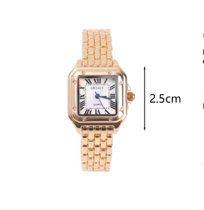 Luxurious Square Case Quartz Timepiece Roman Numerals